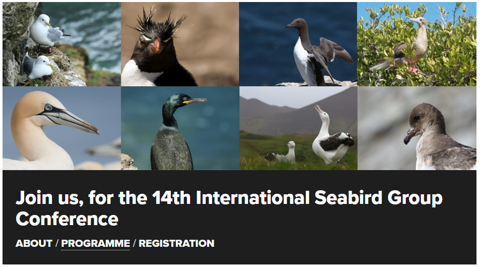 On parle des oiseaux du Cap à la Seabird Group Conference, Liverpool 2018 …