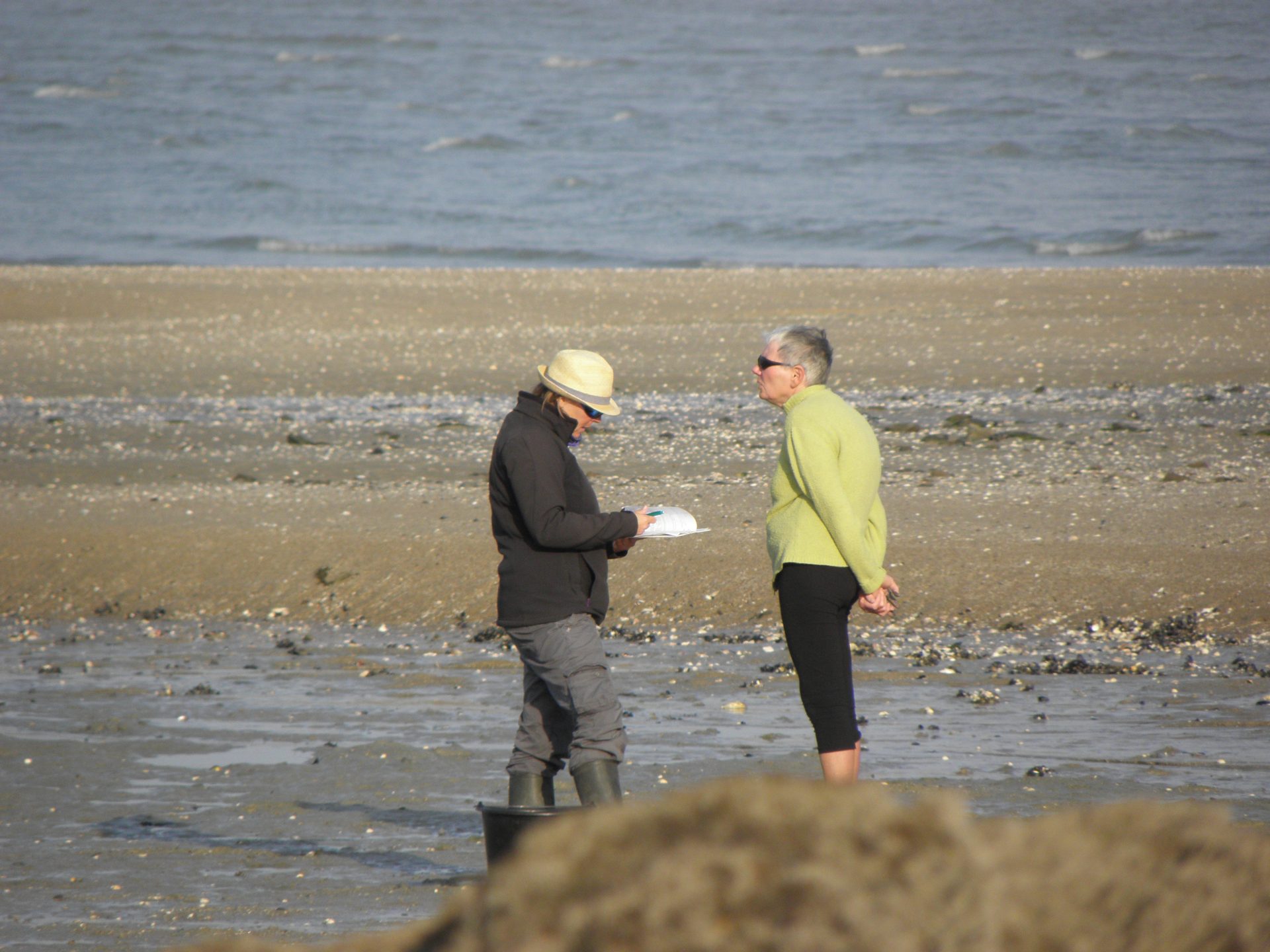 Le rapport 2018 de diagnostic de l'OPPL, site de la Baie de la Fresnaye, est téléchargeable !