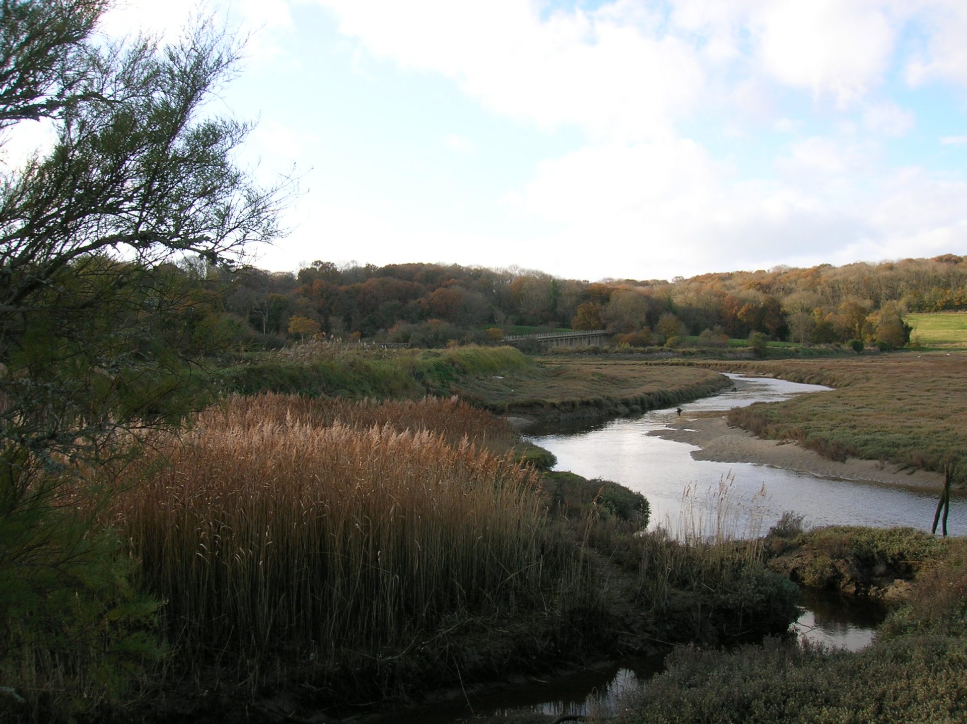 L’élaboration d’un schéma de gestion des espaces naturels  du Grand Site Cap d'Erquy - Cap Fréhel