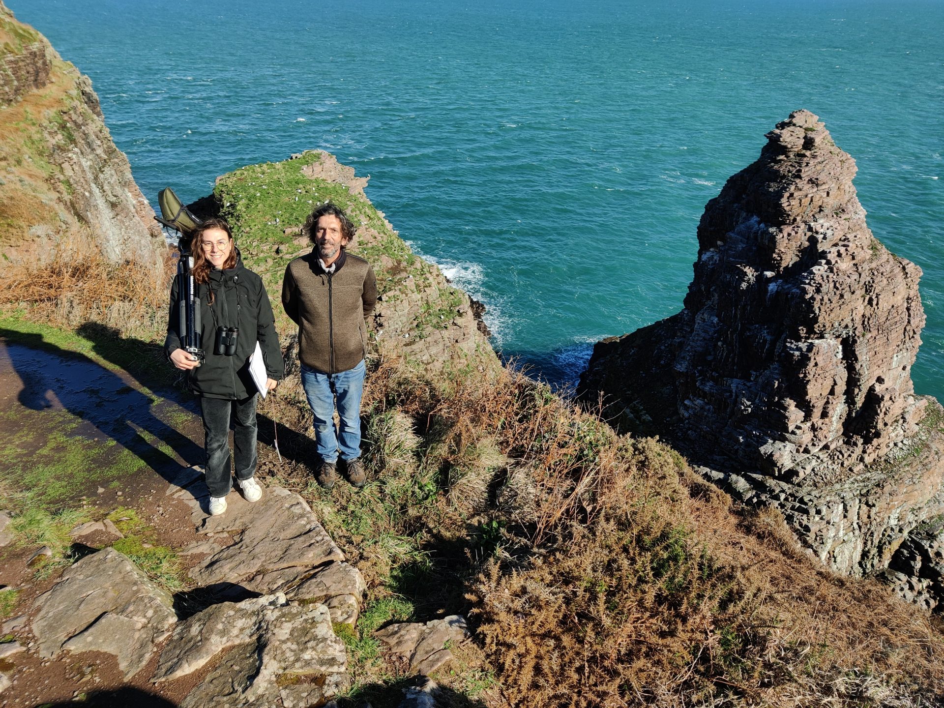 Une progression encourageante pour la population des oiseaux marins sur le site Natura 2000