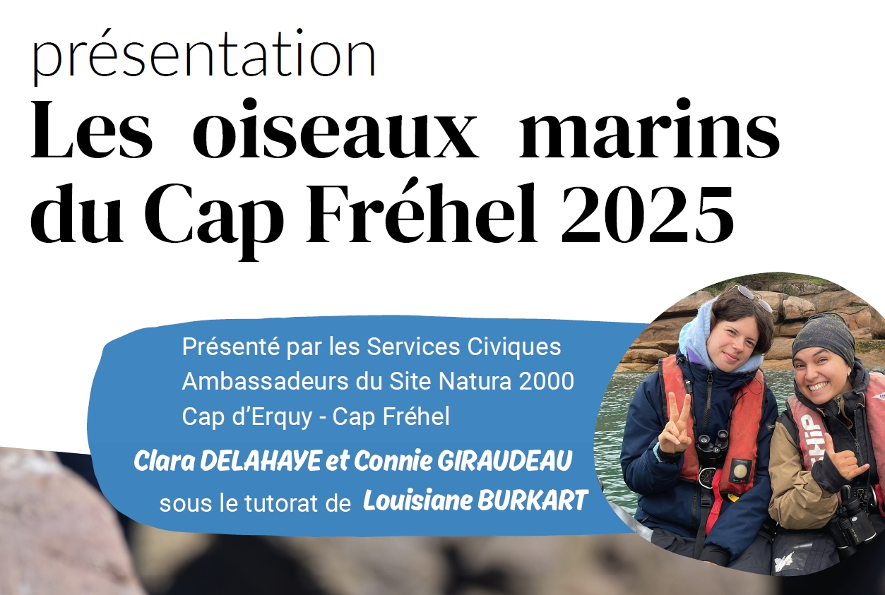 Les oiseaux marins du Cap Fréhel (Service civique) - retransmission de la présentation de Connie et Clara