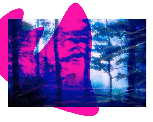 Pièces de paysages : les paysages de Bretagne en paroles et en actes (la programmation)