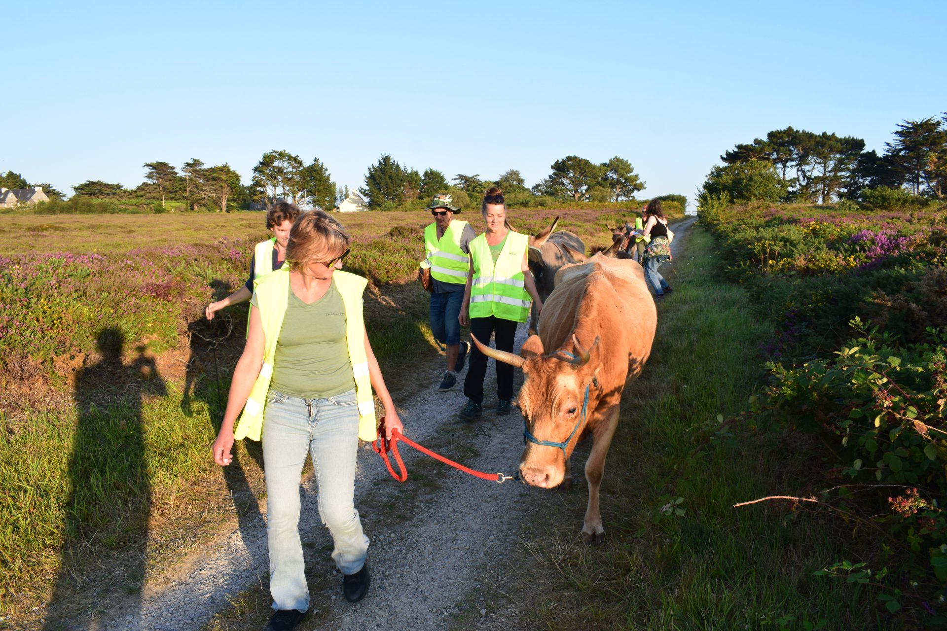 Les landes retrouvent leurs gardiens